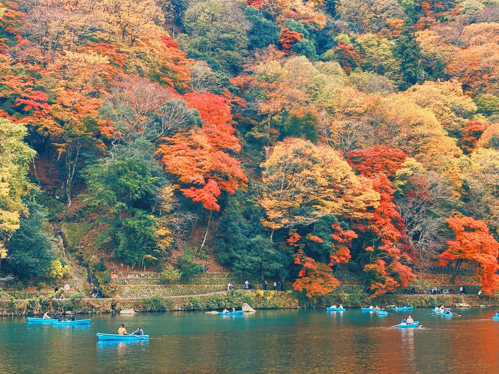 我所見的京都嵐山